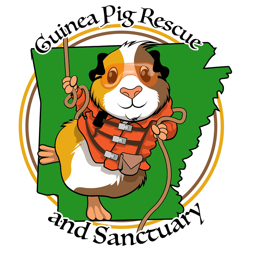 animal rescue non profit