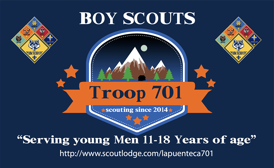 scouts banner