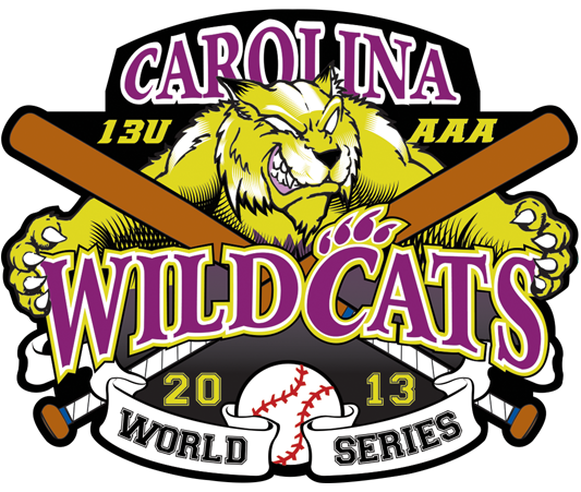 Wildcats Baseball pin